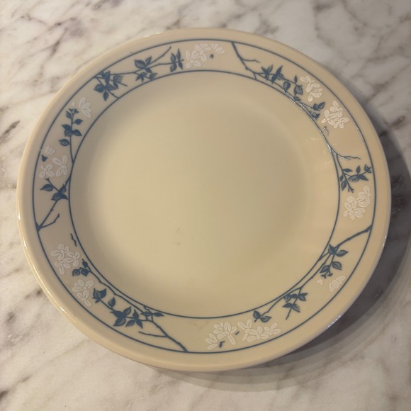 Corelle Other - Corelle Country Morning Blue Blossom Salad Plate Set of 2 Cream Floral